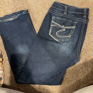 BNWOT Womens Silver Jeans
